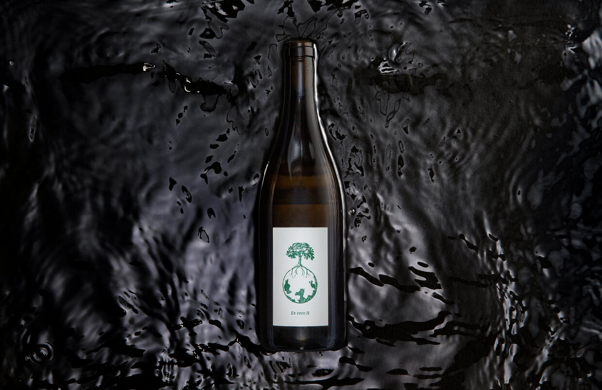 weingut werlitsch_imagebild